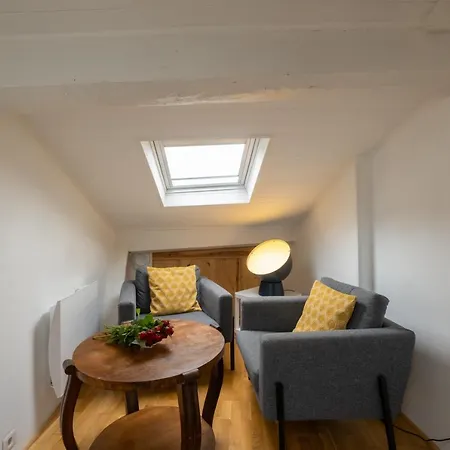 Apartment Charming In The Heart Of Toulouse